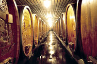 Breisach - Badischer Winzerkeller eG