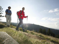 Feldberg-Steig