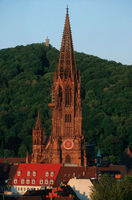 Freiburger Münster