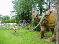 Hauff Primeval Museum 