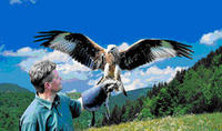 Steinen - Vogelpark