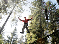 Action Forest